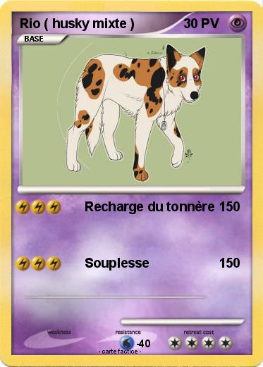 Pokemon Rio ( husky mixte )