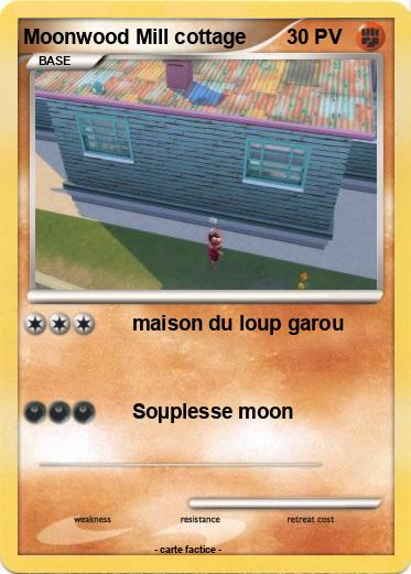 Pokemon Moonwood Mill cottage