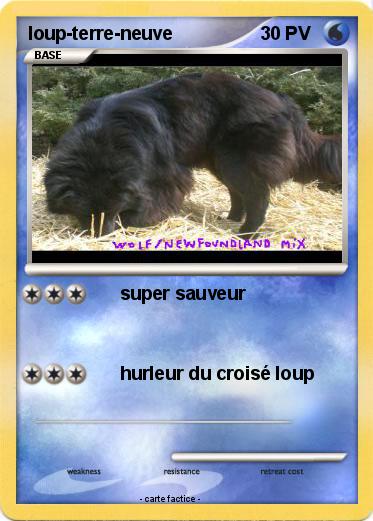 Pokemon loup-terre-neuve