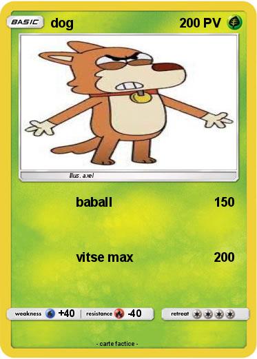 Pokemon dog