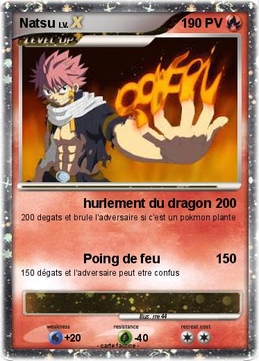 Pokemon Natsu
