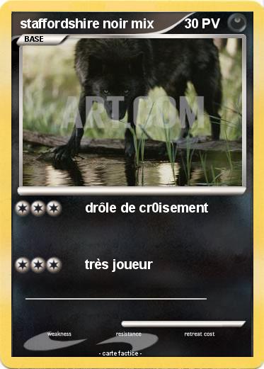 Pokemon staffordshire noir mix