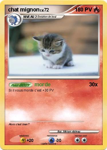 Pokemon chat mignon