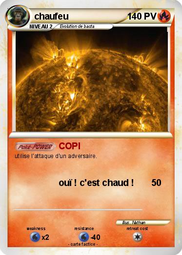 Pokemon chaufeu