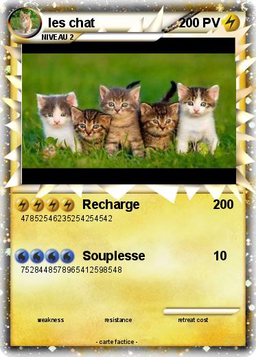 Pokemon les chat