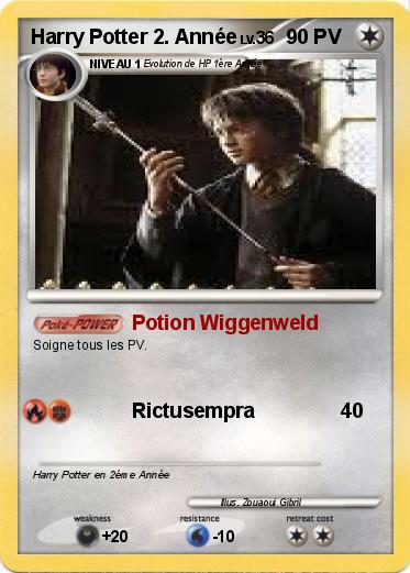 Pokemon Harry Potter 2. Année