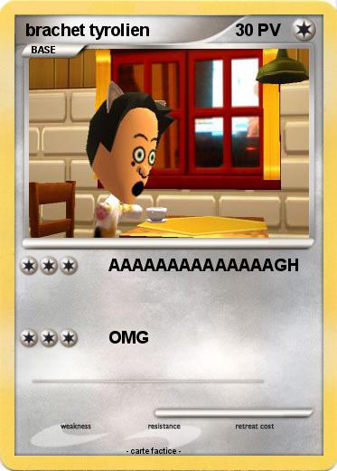 Pokemon brachet tyrolien