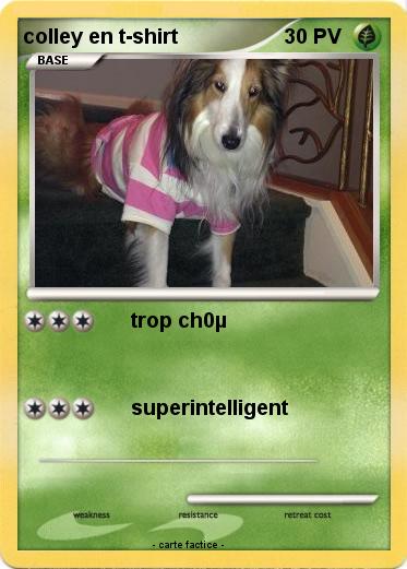 Pokemon colley en t-shirt