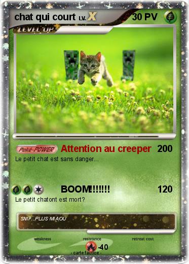 Pokemon chat qui court