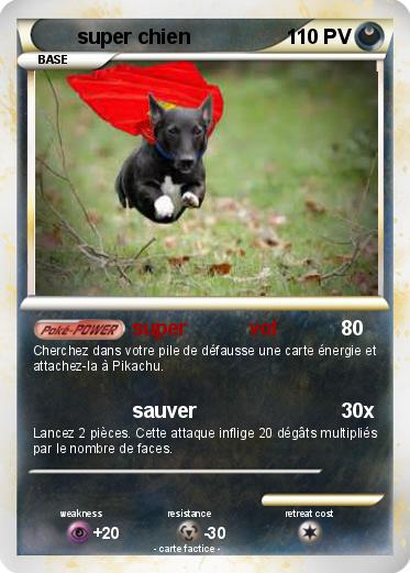 Pokemon super chien