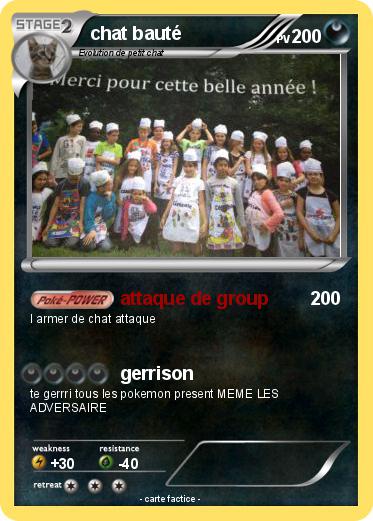Pokemon chat bauté
