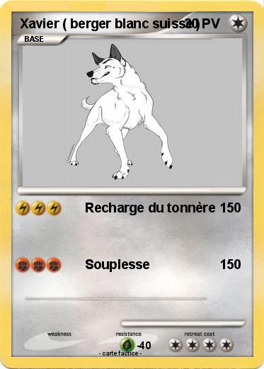 Pokemon Xavier ( berger blanc suisse )