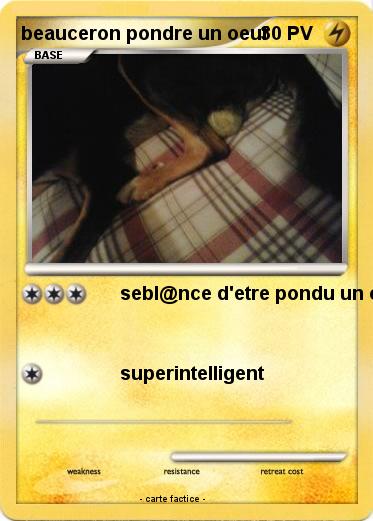 Pokemon beauceron pondre un oeuf