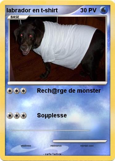 Pokemon labrador en t-shirt