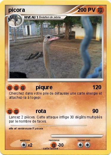 Pokemon picora