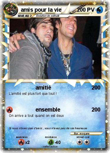 Pokemon amis pour la vie