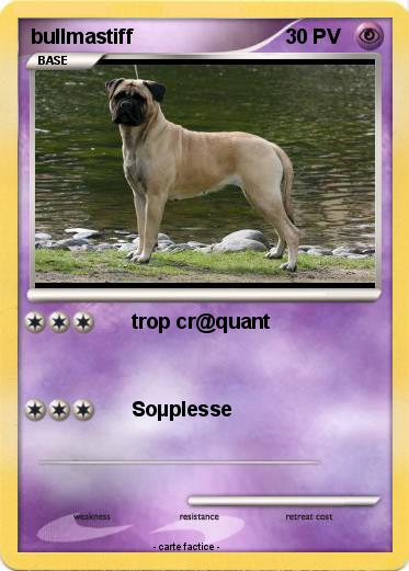 Pokemon bullmastiff