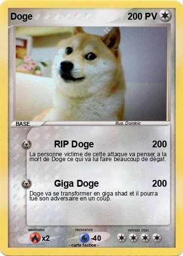 Pokemon Doge