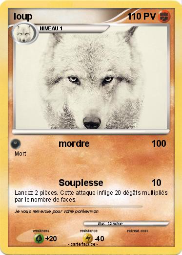 Pokemon loup