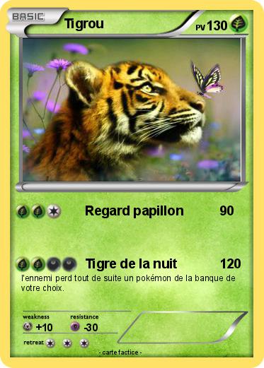 Pokemon Tigrou