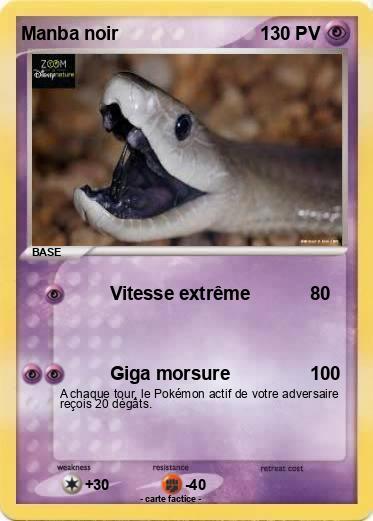 Pokemon Manba noir