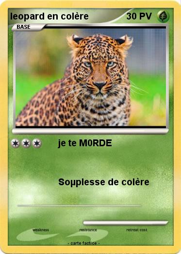 Pokemon leopard en colère