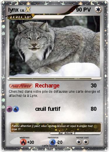 Pokemon lynx