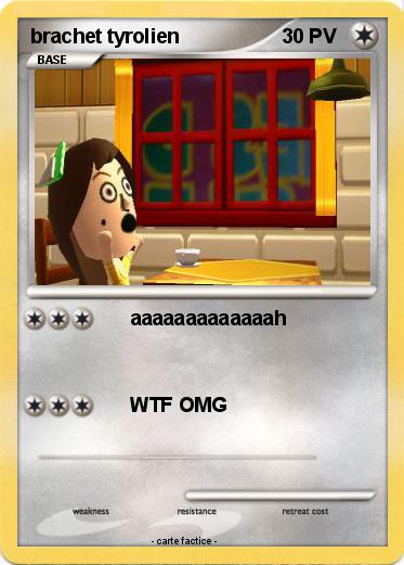 Pokemon brachet tyrolien