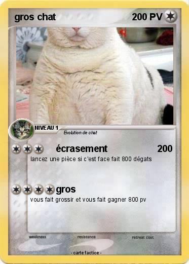 Pokemon gros chat