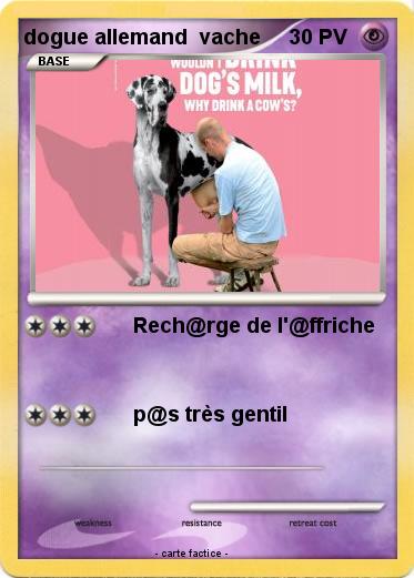 Pokemon dogue allemand  vache