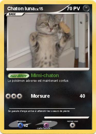 Pokemon Chaton luna