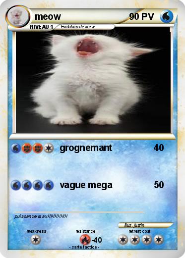 Pokemon meow