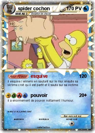 Pokemon spider cochon