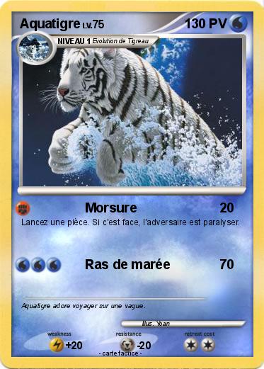 Pokemon Aquatigre
