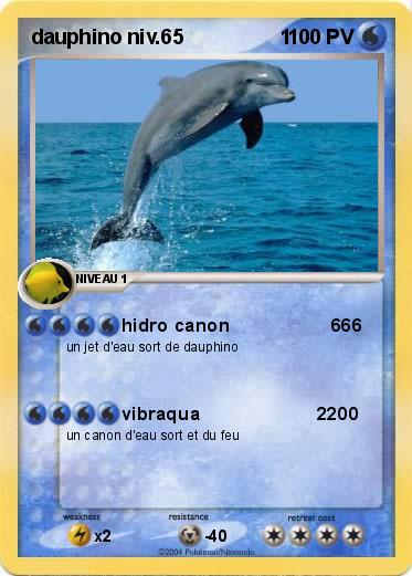 Pokemon dauphino niv.65                 1