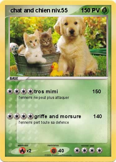 Pokemon  chat and chien niv.55       