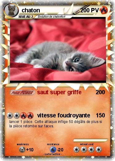 Pokemon chaton