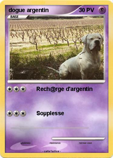 Pokemon dogue argentin