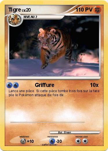 Pokemon Tigre