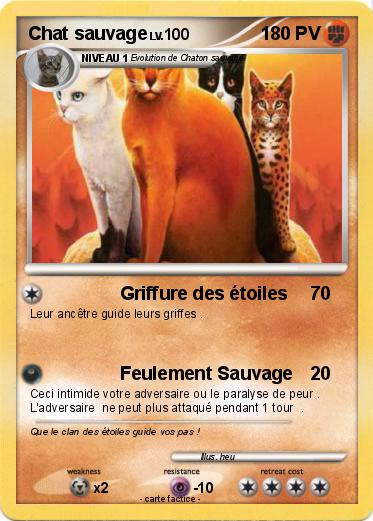 Pokemon Chat sauvage