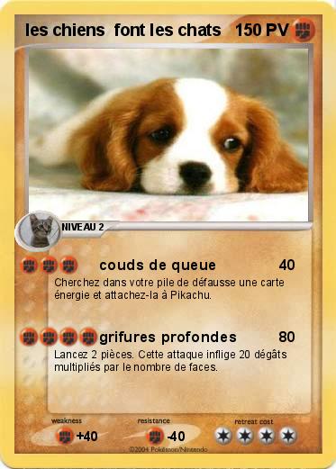Pokemon les chiens  font les chats