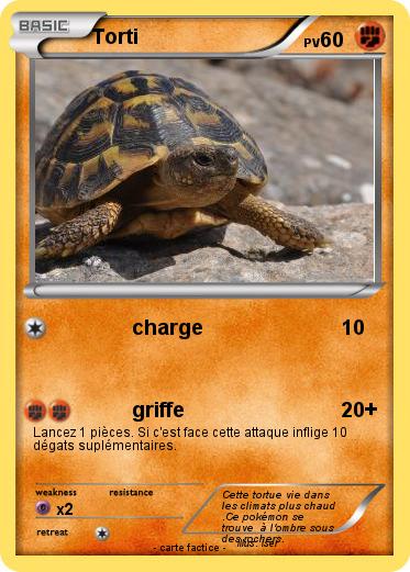 Pokemon Torti