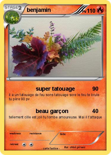Pokemon benjamin