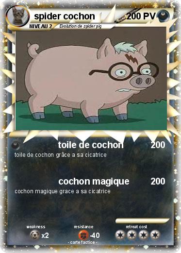 Pokemon spider cochon