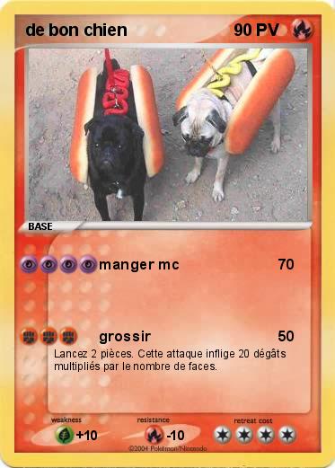 Pokemon de bon chien