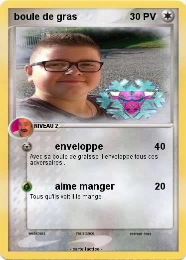 Pokemon boule de gras