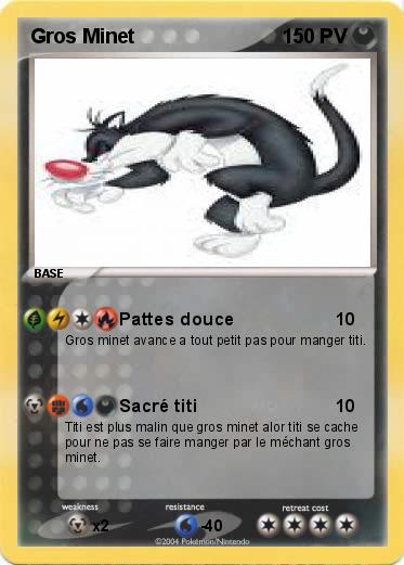 Pokemon Gros Minet