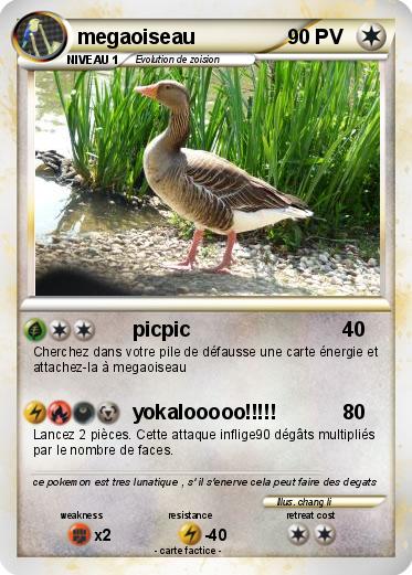 Pokemon megaoiseau