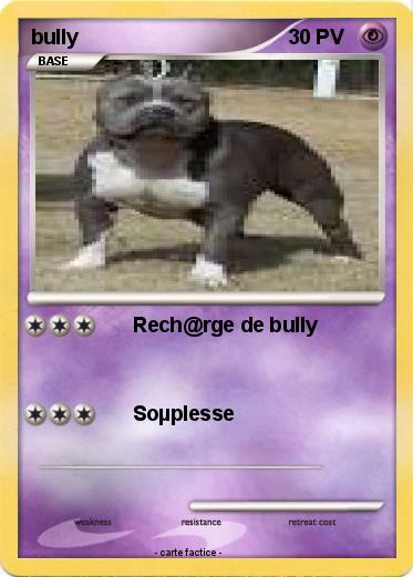 Pokemon bully