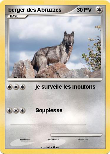 Pokemon berger des Abruzzes